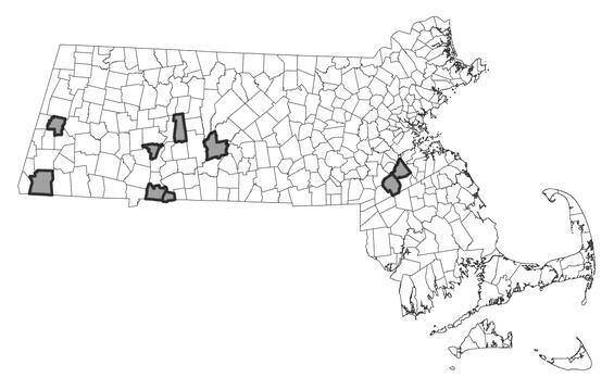 Map showing the distribution of this species in Massachusetts