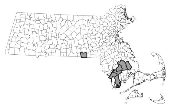 Map showing the distribution of this species in Massachusetts