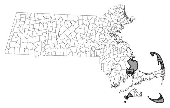 Map showing the distribution of this species in Massachusetts.