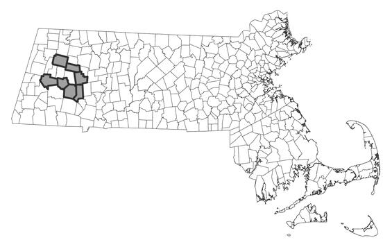 Map showing the distribution of this species in Massachusetts.