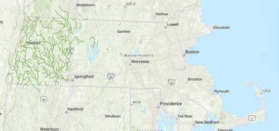 Map showing the distribution of this species in Massachusetts.