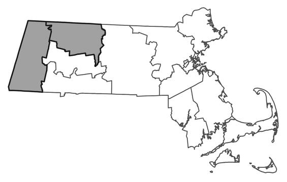 Map showing the distribution of this species in Massachusetts.  