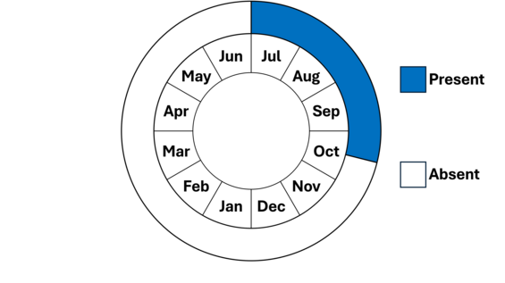 Graphic representation of life cycle, also described in text.