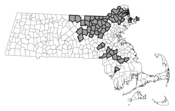 Map showing the distribution of this species in Massachusetts