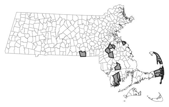 Map showing the distribution of this species in Massachusetts