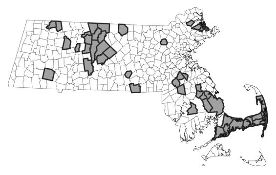 Map showing the distribution of this species in Massachusetts