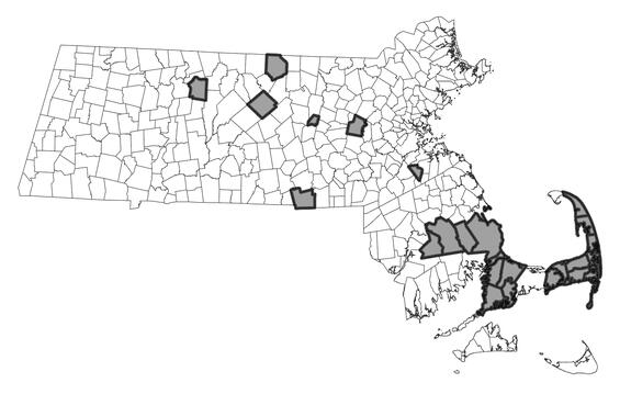 Map showing the distribution of this species in Massachusetts