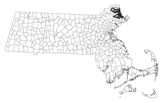 New England siltsnail distribution in Massachusetts. 2000-2025. Based on records in the Natural Heritage Database.