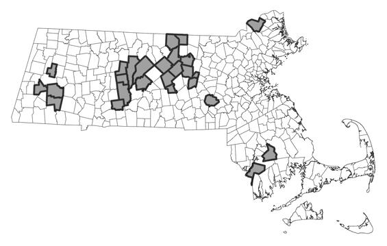Map showing the distribution of this species in Massachusetts