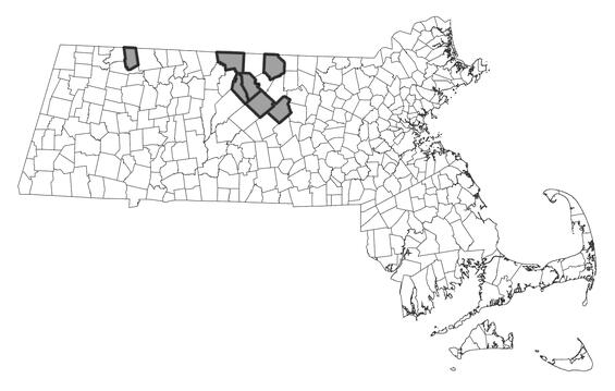 Map showing the distribution of this species in Massachusetts