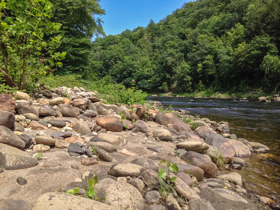 Habitat photo