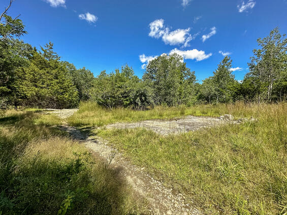 Habitat photo