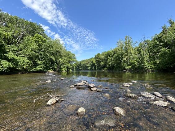 Medium-sized, low gradient stream with distinct mesohabitats suitable for spine-crowned clubtail.