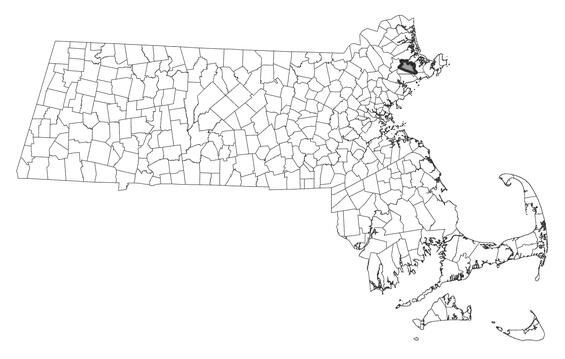 Map showing the distribution of this species in Massachusetts