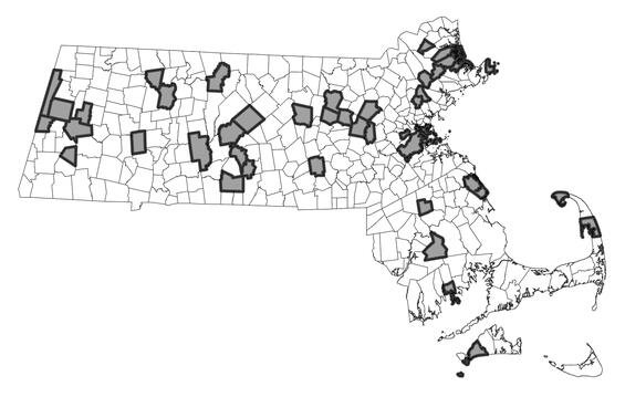 Map showing the distribution of this species in Massachusetts