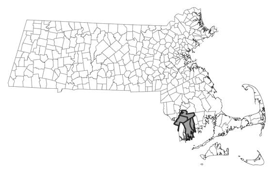 Map showing the distribution of this species in Massachusetts