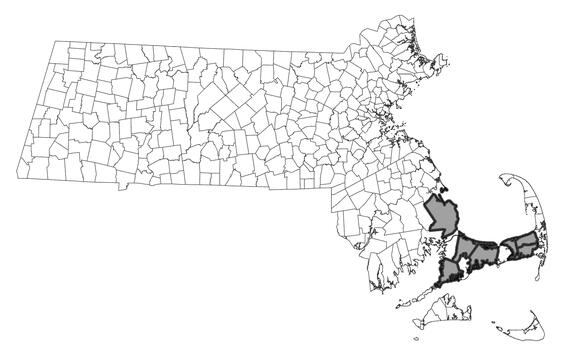 Map showing the distribution of this species in Massachusetts