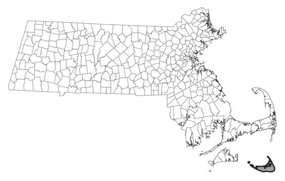 Map showing the distribution of this species in Massachusetts
