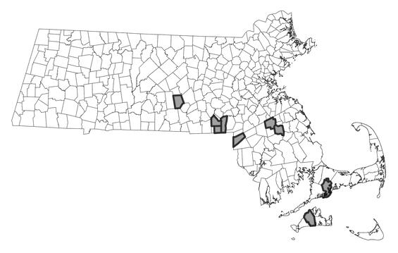 Map showing the distribution of this species in Massachusetts. 