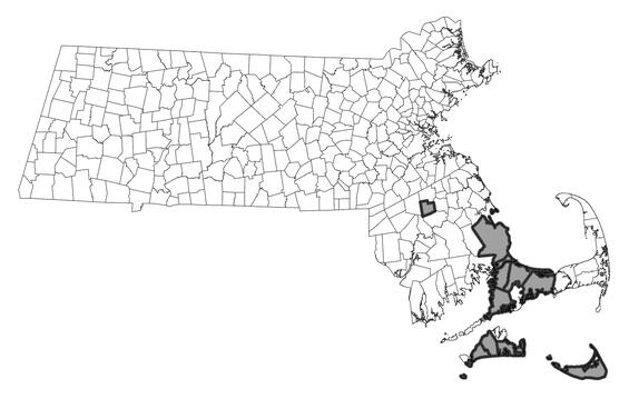 Map showing the distribution of this species in Massachusetts