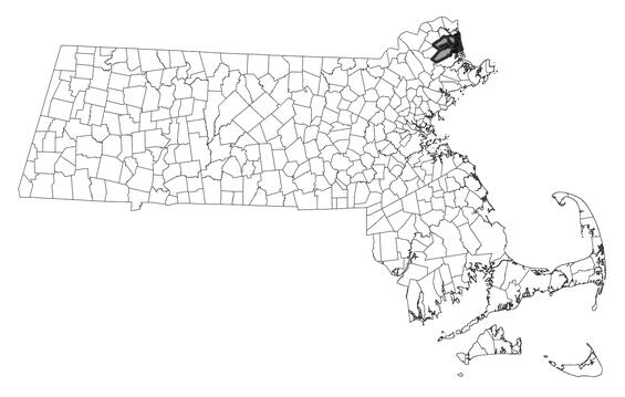 Hydrobe distribution in Massachusetts. 2000-2025. Based on records in the Natural Heritage Database. 
