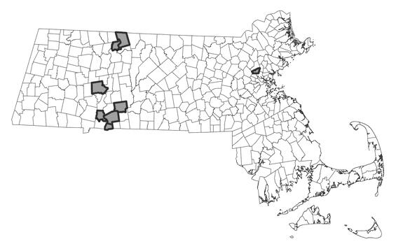 Map showing the distribution of this species in Massachusetts