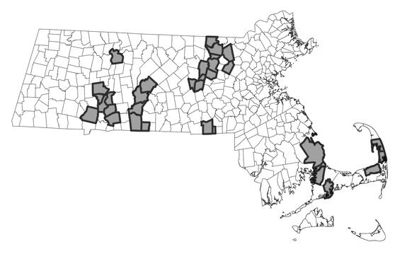 Map showing the distribution of this species in Massachusetts
