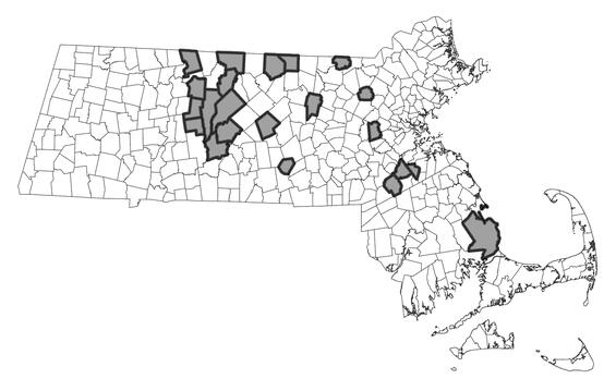 Map showing the distribution of this species in Massachusetts