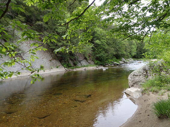 Medium-sized stream with riffle, pool, and run mesohabitats suitable for riffle snaketail.
