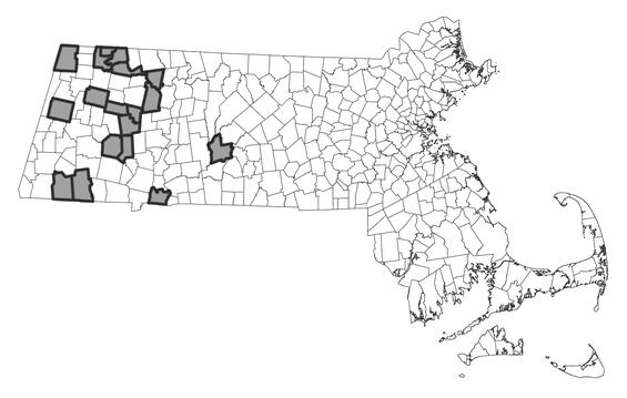 Map showing the distribution of this species in Massachusetts