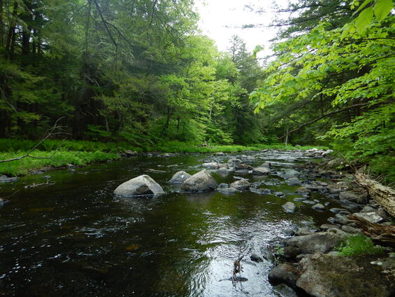 Medium-sized stream with an extensive run habitat with mixed substrate of sand, gravel and cobble. 