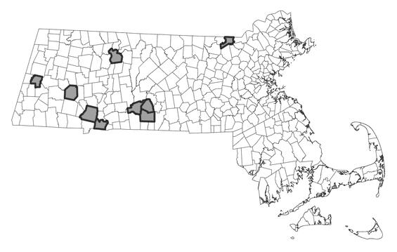 Map showing the distribution of this species in Massachusetts. 