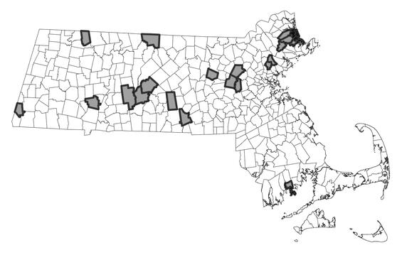 Map showing the distribution of this species in Massachusetts