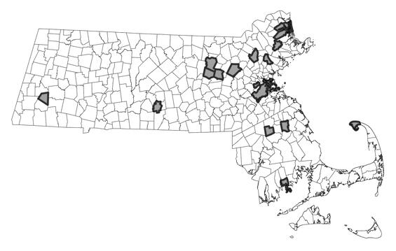 Map showing the distribution of this species in Massachusetts