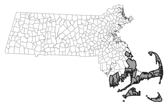 Map showing the distribution of this species in Massachusetts.