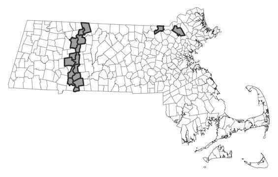 Map showing the distribution of this species in Massachusetts.