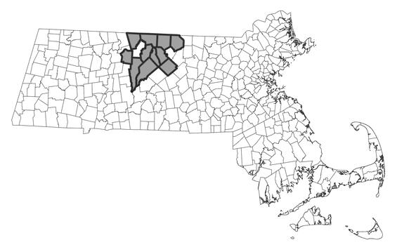 Map showing the distribution of this species in Massachusetts.