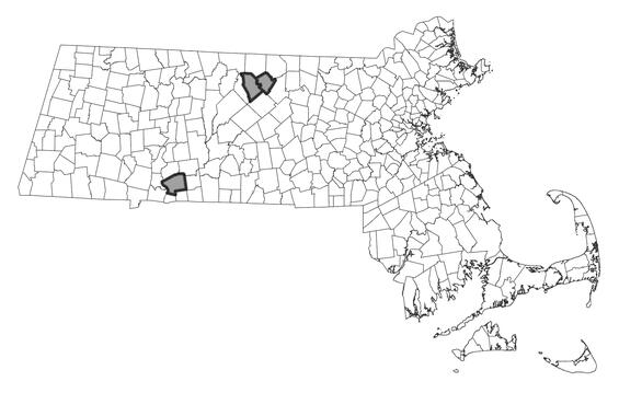 Map showing the distribution of this species in Massachusetts