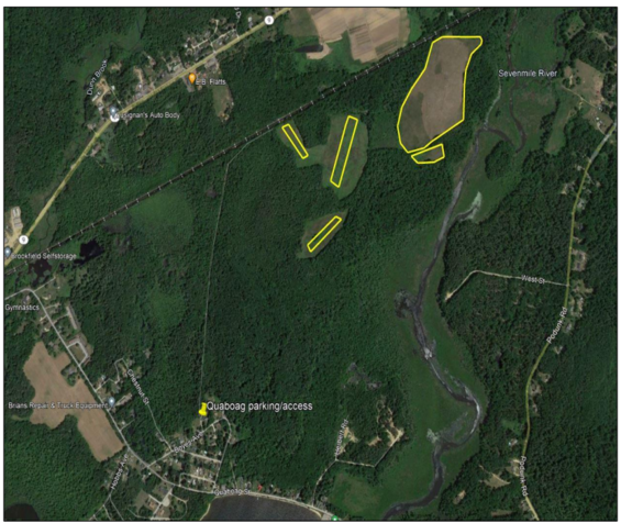 Harrow and seeding areas at Quaboag WMA (Hayes Fields)