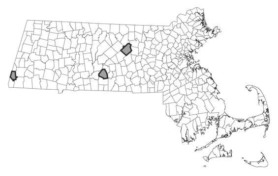 Map showing the distribution of this species in Massachusetts