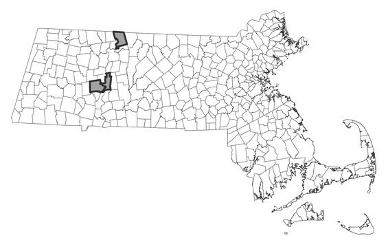 Map showing the distribution of this species in Massachusetts.