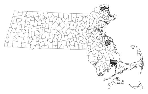 Map showing the distribution of this species in Massachusetts.