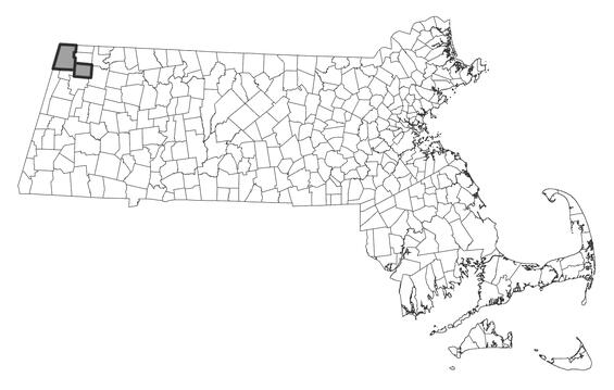 Map showing the distribution of this species in Massachusetts
