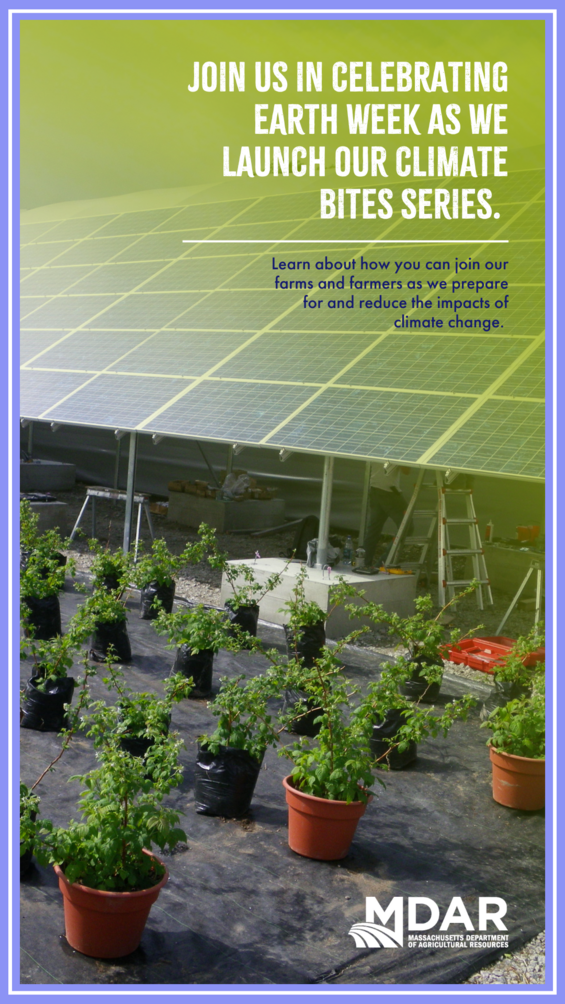 Potted plants with the text: Join us this week in celebrating Earth Week with our Climate Bites series.