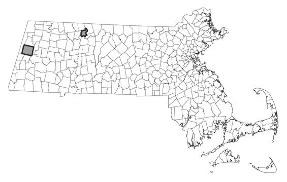 Map showing the distribution of this species in Massachusetts.