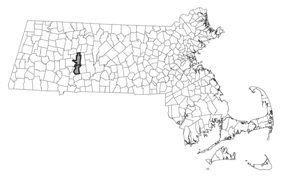 Map showing the distribution of this species in Massachusetts