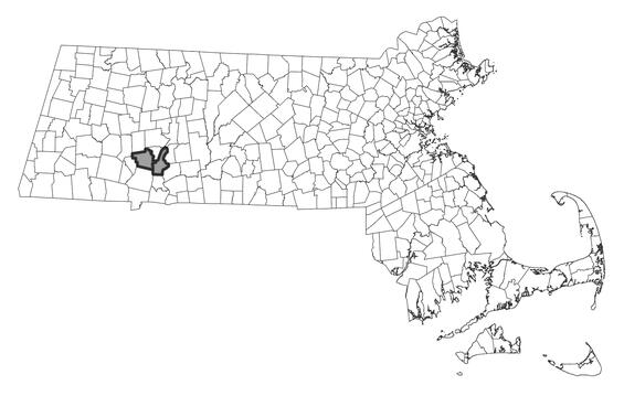 Map showing the distribution of this species in Massachusetts.