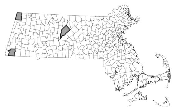 Map showing the distribution of this species in Massachusetts.