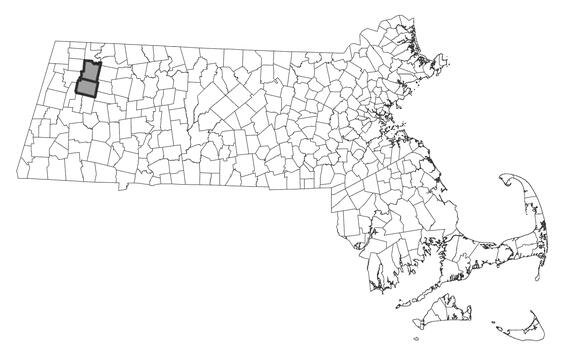Map showing the distribution of this species in Massachusetts.
