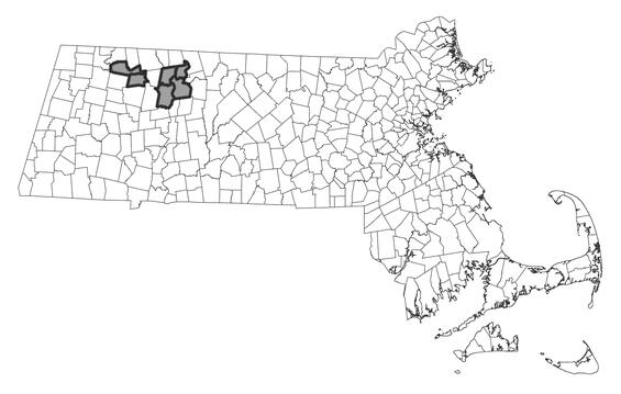 Map showing the distribution of this species in Massachusetts.